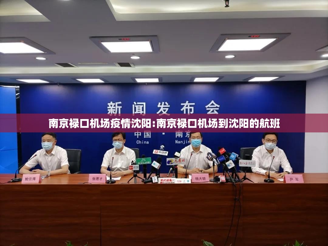 南京禄口机场疫情沈阳:南京禄口机场到沈阳的航班