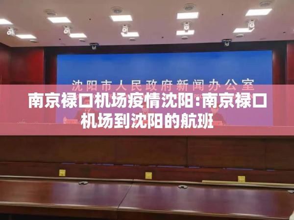 南京禄口机场疫情沈阳:南京禄口机场到沈阳的航班
