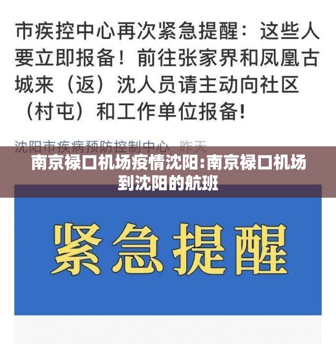 南京禄口机场疫情沈阳:南京禄口机场到沈阳的航班