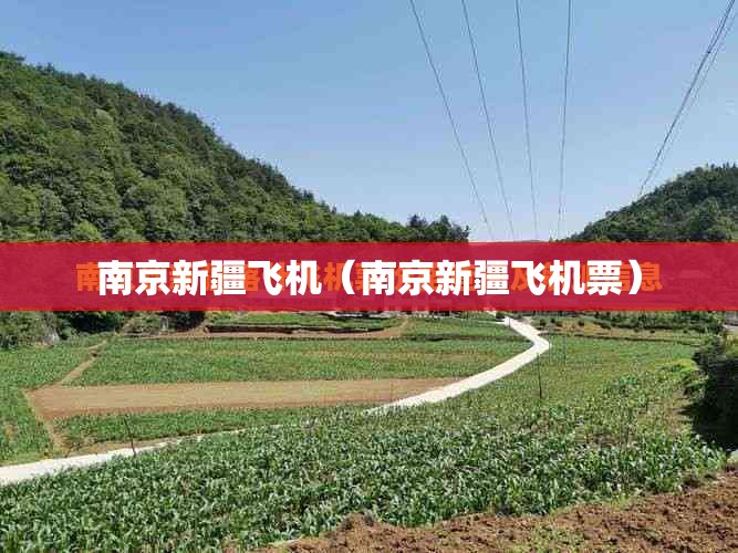 南京新疆飞机（南京新疆飞机票）