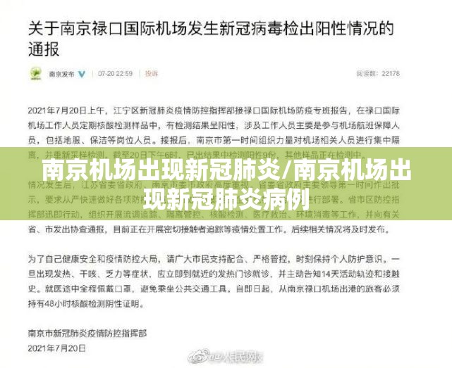 南京机场出现新冠肺炎/南京机场出现新冠肺炎病例