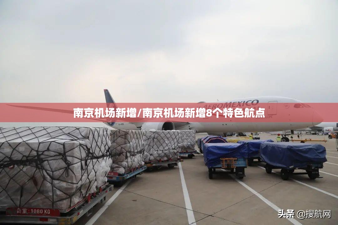 南京机场新增/南京机场新增8个特色航点