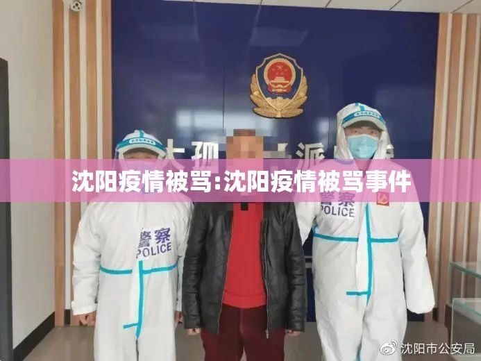 沈阳疫情被骂:沈阳疫情被骂事件