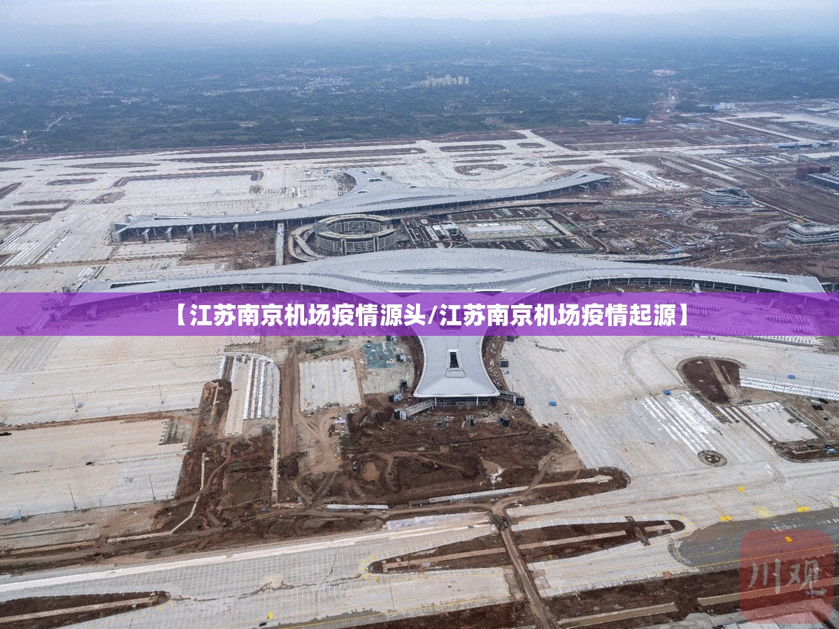 【江苏南京机场疫情源头/江苏南京机场疫情起源】