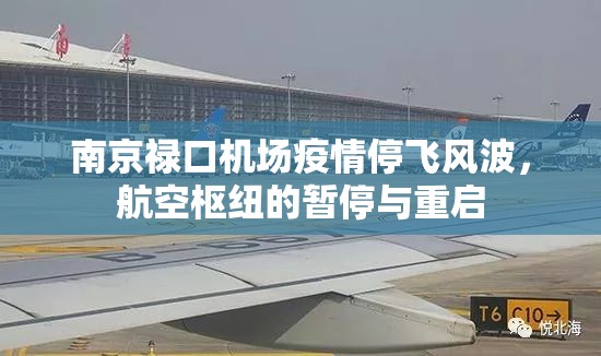 南京禄口机场疫情停飞风波，航空枢纽的暂停与重启