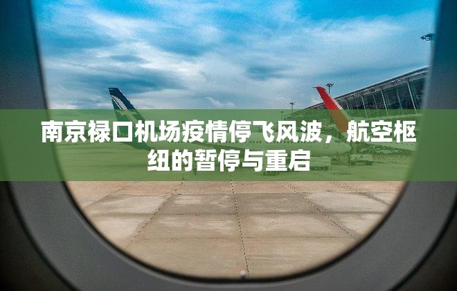 南京禄口机场疫情停飞风波，航空枢纽的暂停与重启