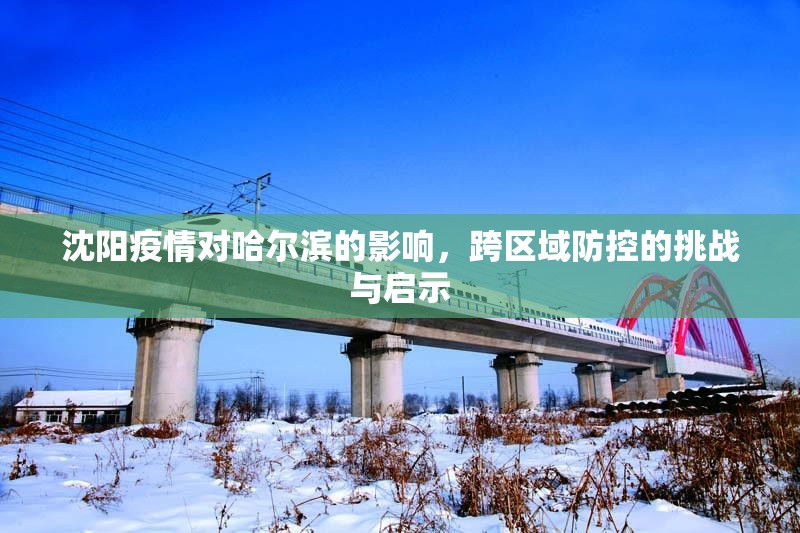 沈阳疫情对哈尔滨的影响，跨区域防控的挑战与启示