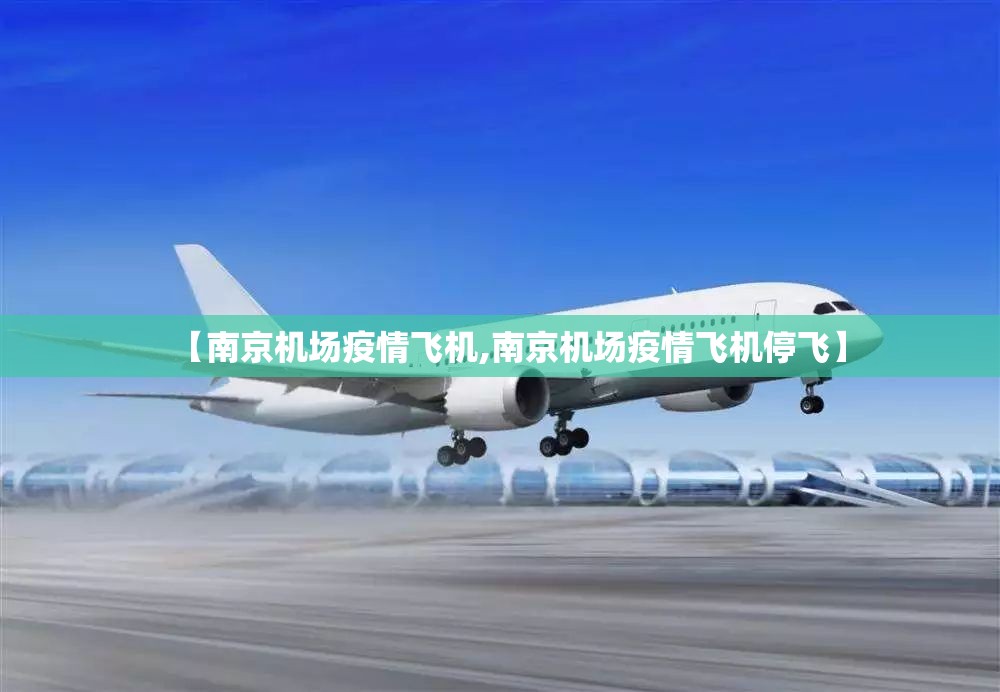 【南京机场疫情飞机,南京机场疫情飞机停飞】
