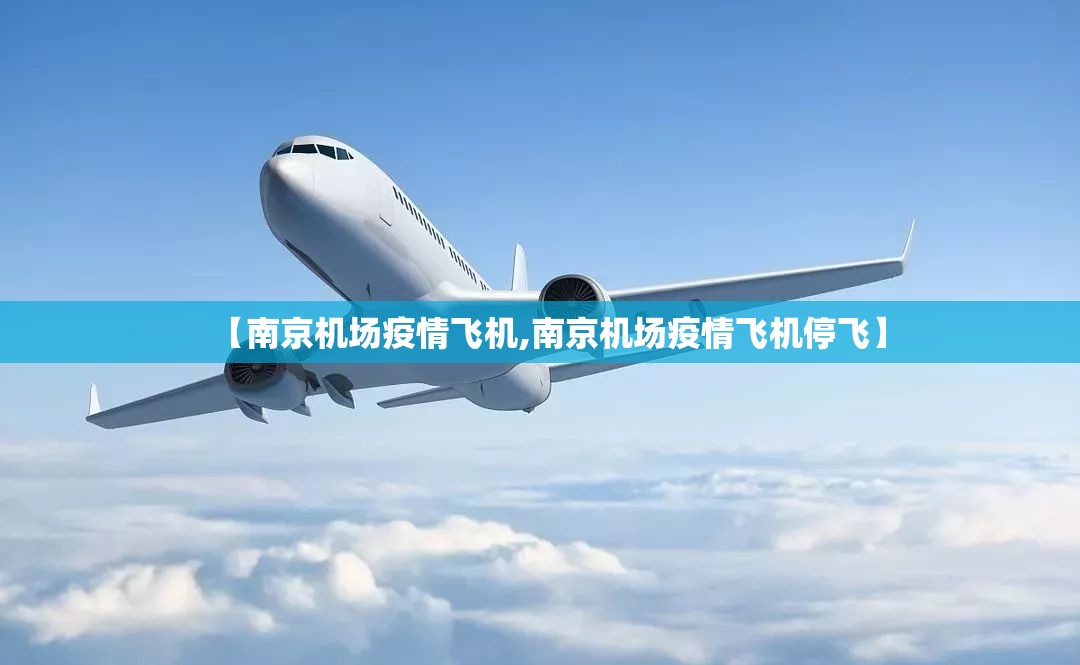 【南京机场疫情飞机,南京机场疫情飞机停飞】