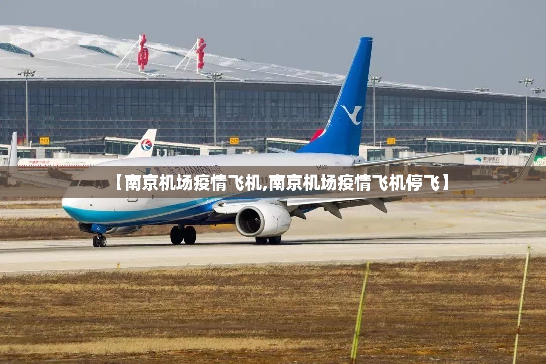 【南京机场疫情飞机,南京机场疫情飞机停飞】