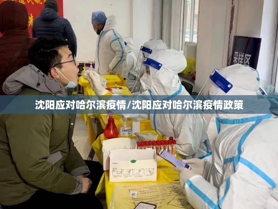 沈阳应对哈尔滨疫情/沈阳应对哈尔滨疫情政策
