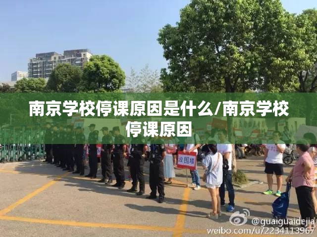 南京学校停课原因是什么/南京学校停课原因