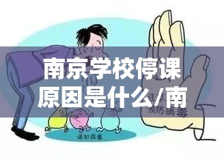 南京学校停课原因是什么/南京学校停课原因