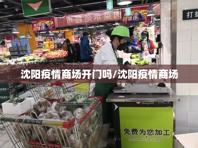 沈阳疫情商场开门吗/沈阳疫情商场