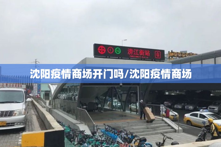 沈阳疫情商场开门吗/沈阳疫情商场