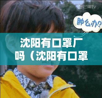 沈阳有口罩厂吗（沈阳有口罩厂吗在哪）