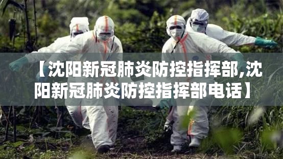 【沈阳新冠肺炎防控指挥部,沈阳新冠肺炎防控指挥部电话】