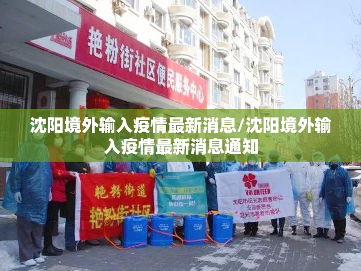 沈阳境外输入疫情最新消息/沈阳境外输入疫情最新消息通知
