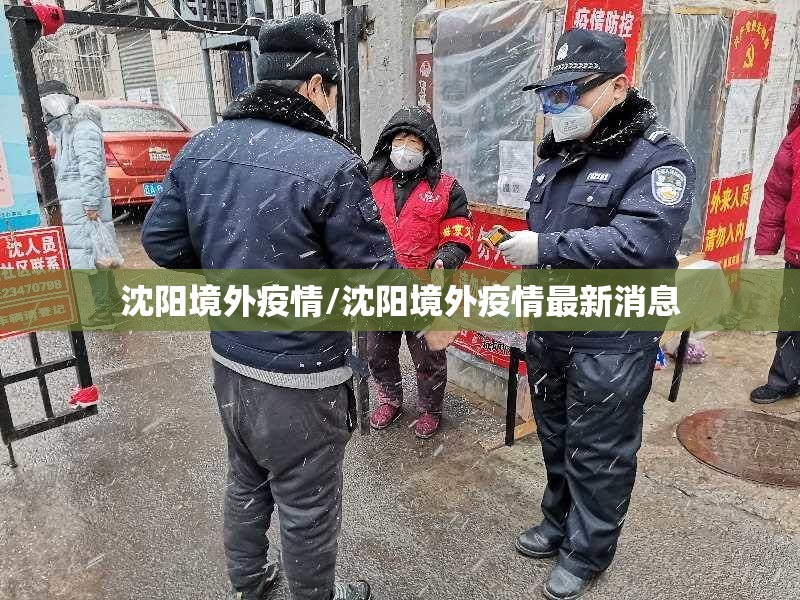 沈阳境外疫情/沈阳境外疫情最新消息