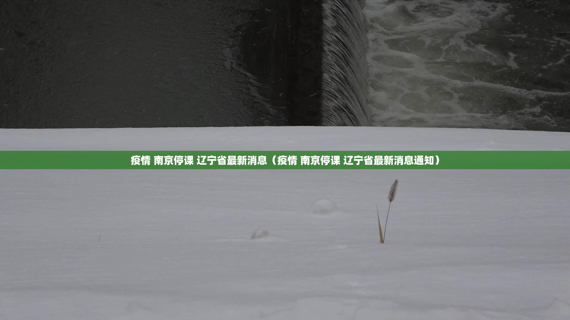 疫情 南京停课 辽宁省最新消息（疫情 南京停课 辽宁省最新消息通知）