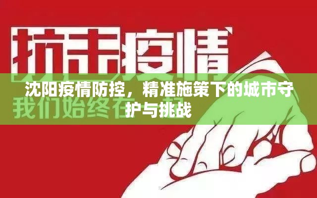 沈阳疫情防控，精准施策下的城市守护与挑战