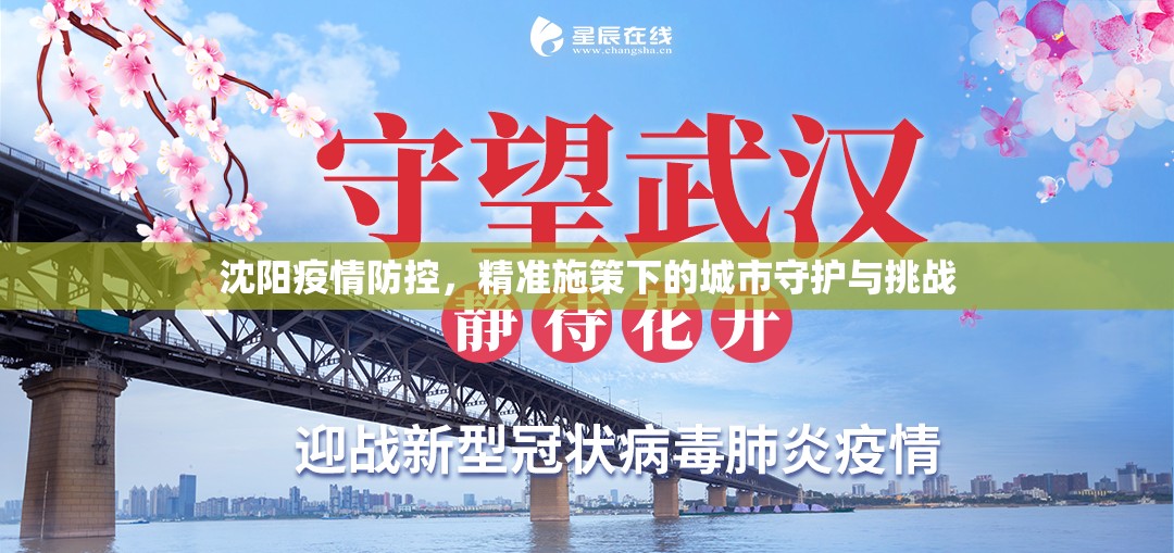 沈阳疫情防控，精准施策下的城市守护与挑战