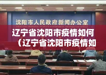 辽宁省沈阳市疫情如何（辽宁省沈阳市疫情如何防控）