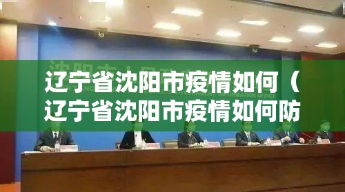 辽宁省沈阳市疫情如何（辽宁省沈阳市疫情如何防控）