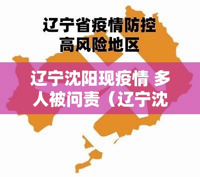 辽宁沈阳现疫情 多人被问责（辽宁沈阳现疫情 多人被问责了吗）