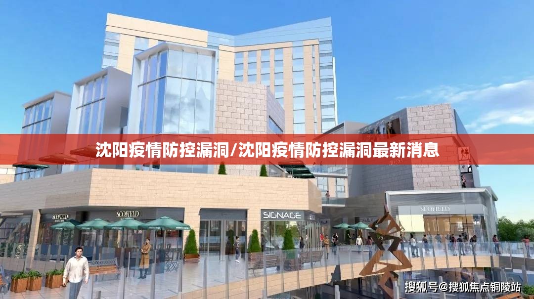 沈阳疫情防控漏洞/沈阳疫情防控漏洞最新消息