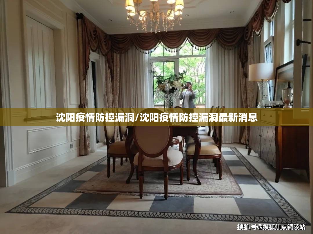 沈阳疫情防控漏洞/沈阳疫情防控漏洞最新消息