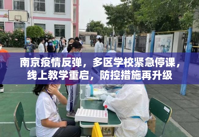 南京疫情反弹，多区学校紧急停课，线上教学重启，防控措施再升级