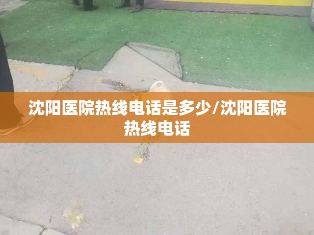 沈阳医院热线电话是多少/沈阳医院热线电话