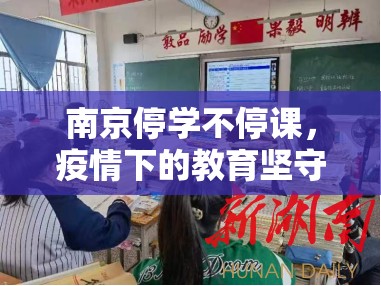南京停学不停课，疫情下的教育坚守与创新