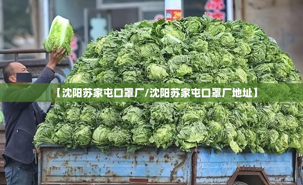 【沈阳苏家屯口罩厂/沈阳苏家屯口罩厂地址】