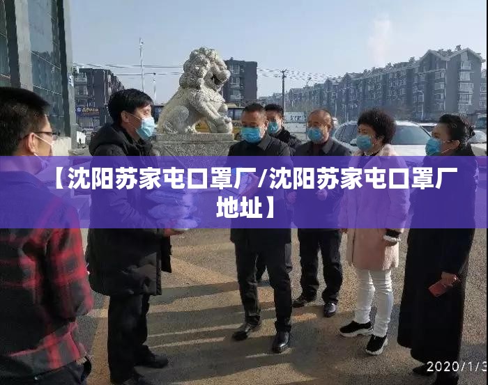 【沈阳苏家屯口罩厂/沈阳苏家屯口罩厂地址】