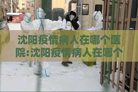 沈阳疫情病人在哪个医院:沈阳疫情病人在哪个医院治疗