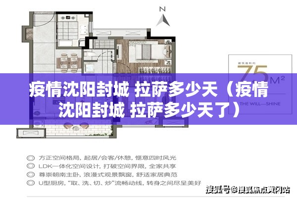 疫情沈阳封城 拉萨多少天（疫情沈阳封城 拉萨多少天了）