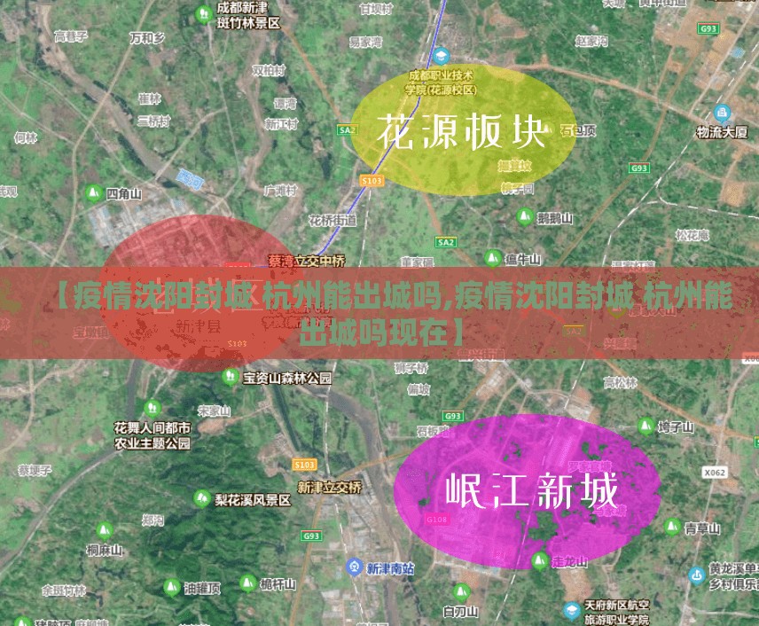 【疫情沈阳封城 杭州能出城吗,疫情沈阳封城 杭州能出城吗现在】