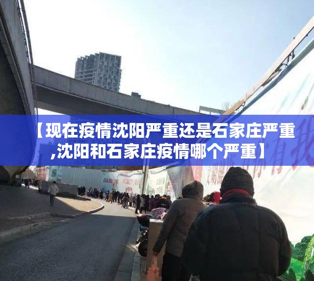 【现在疫情沈阳严重还是石家庄严重,沈阳和石家庄疫情哪个严重】