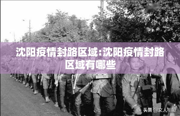 沈阳疫情封路区域:沈阳疫情封路区域有哪些