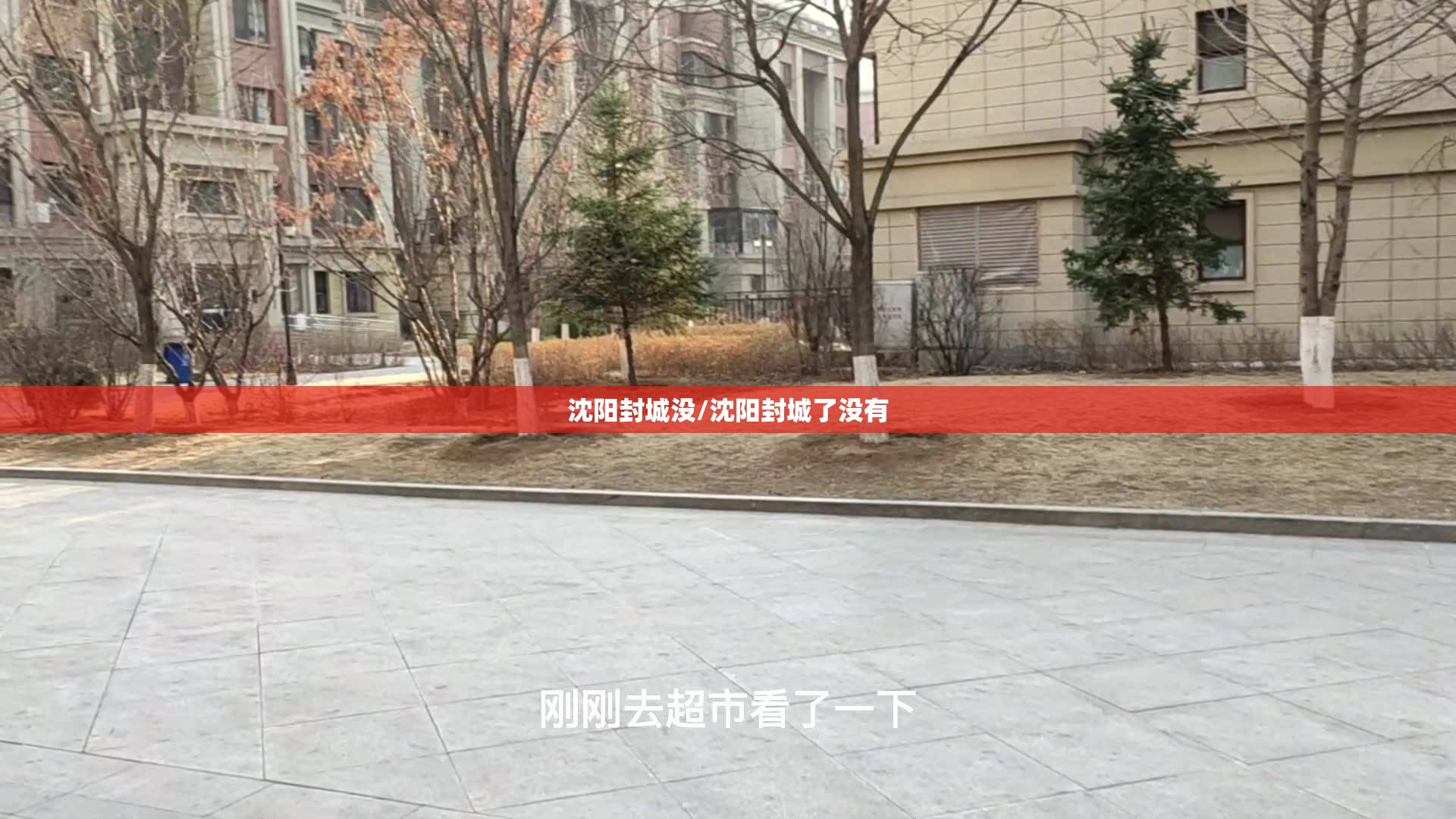 沈阳封城没/沈阳封城了没有