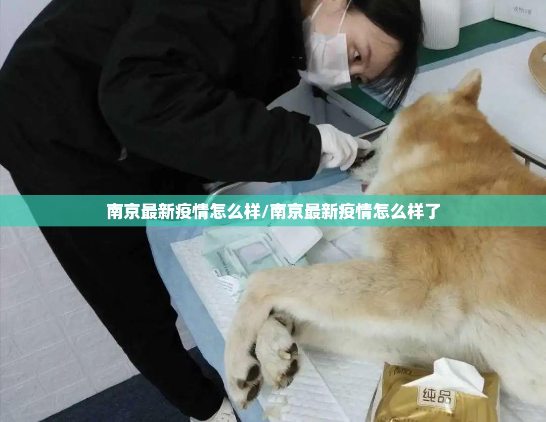 南京最新疫情怎么样/南京最新疫情怎么样了