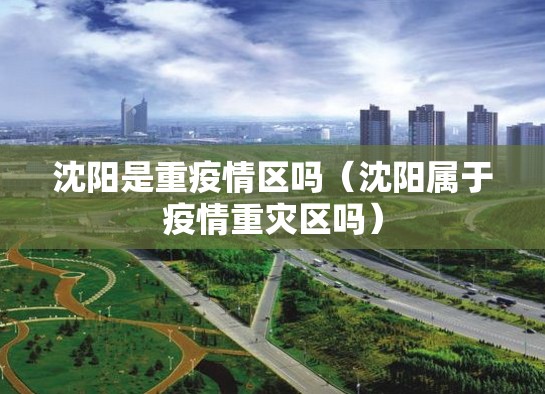 沈阳是重疫情区吗（沈阳属于疫情重灾区吗）