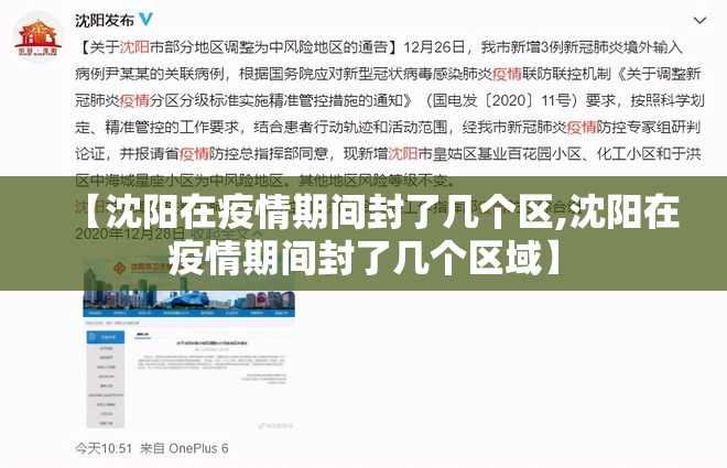 【沈阳在疫情期间封了几个区,沈阳在疫情期间封了几个区域】