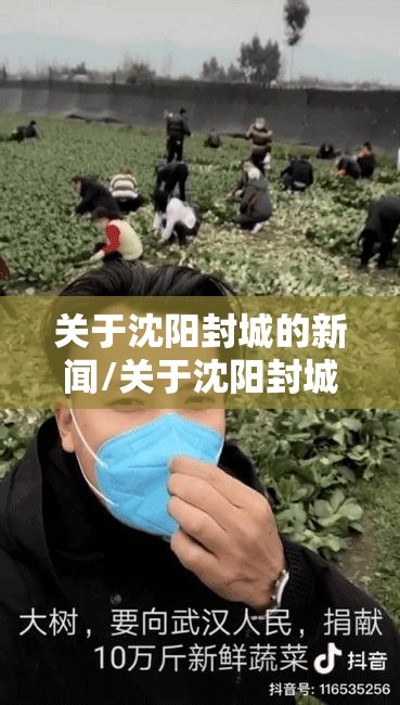 关于沈阳封城的新闻/关于沈阳封城