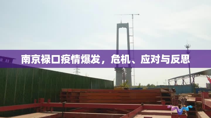 南京禄口疫情爆发，危机、应对与反思
