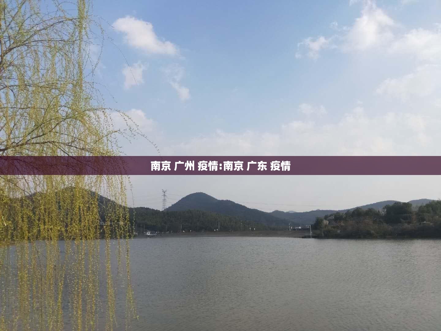 南京 广州 疫情:南京 广东 疫情