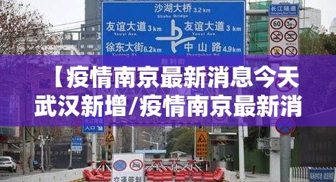 【疫情南京最新消息今天 武汉新增/疫情南京最新消息今天 武汉新增病例】