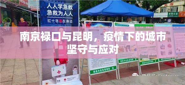 南京禄口与昆明，疫情下的城市坚守与应对
